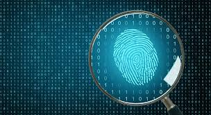 Threat Hunting Services